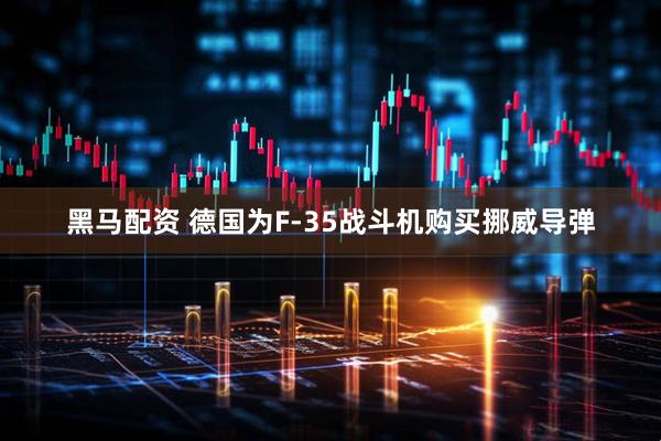 黑马配资 德国为F-35战斗机购买挪威导弹